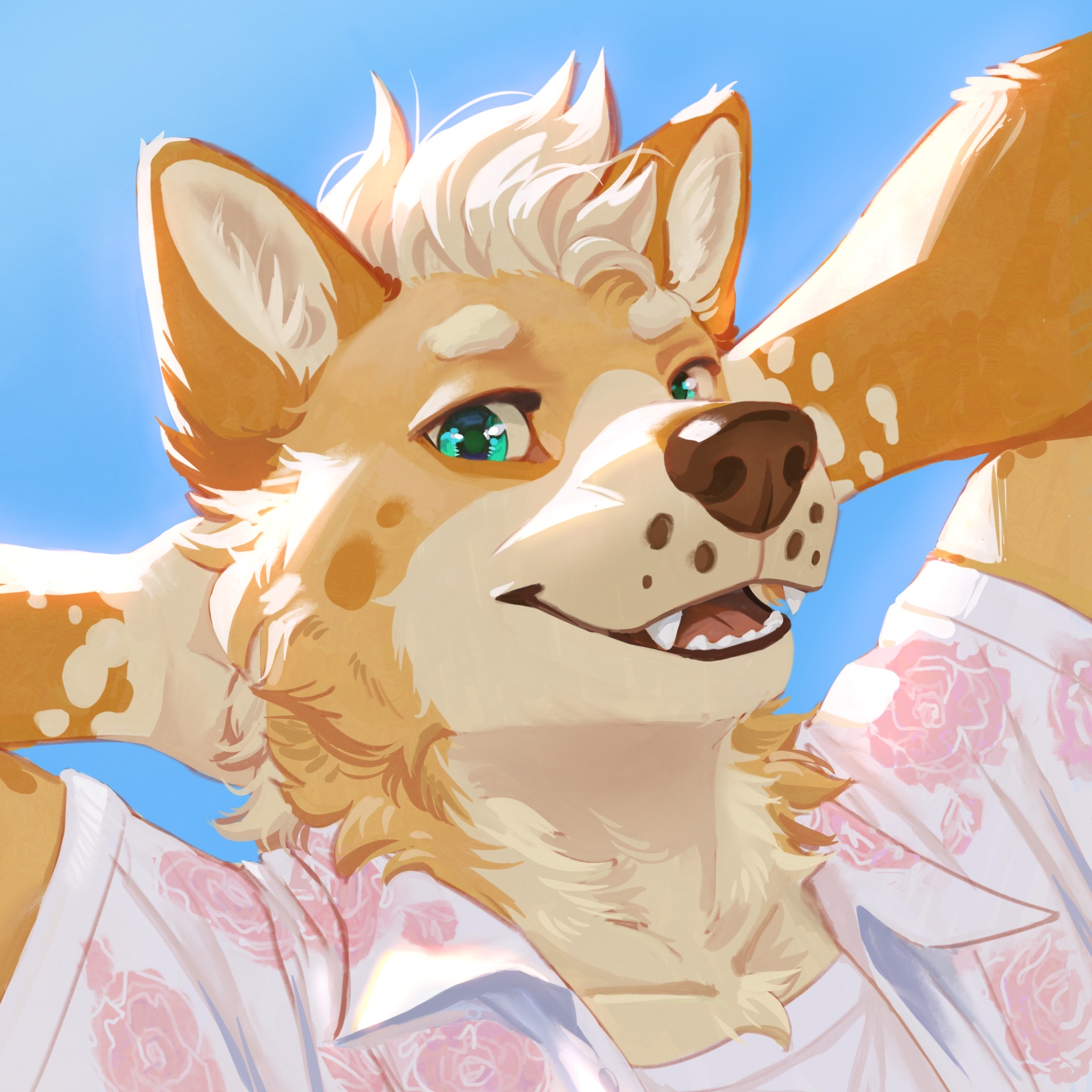 sunny day
