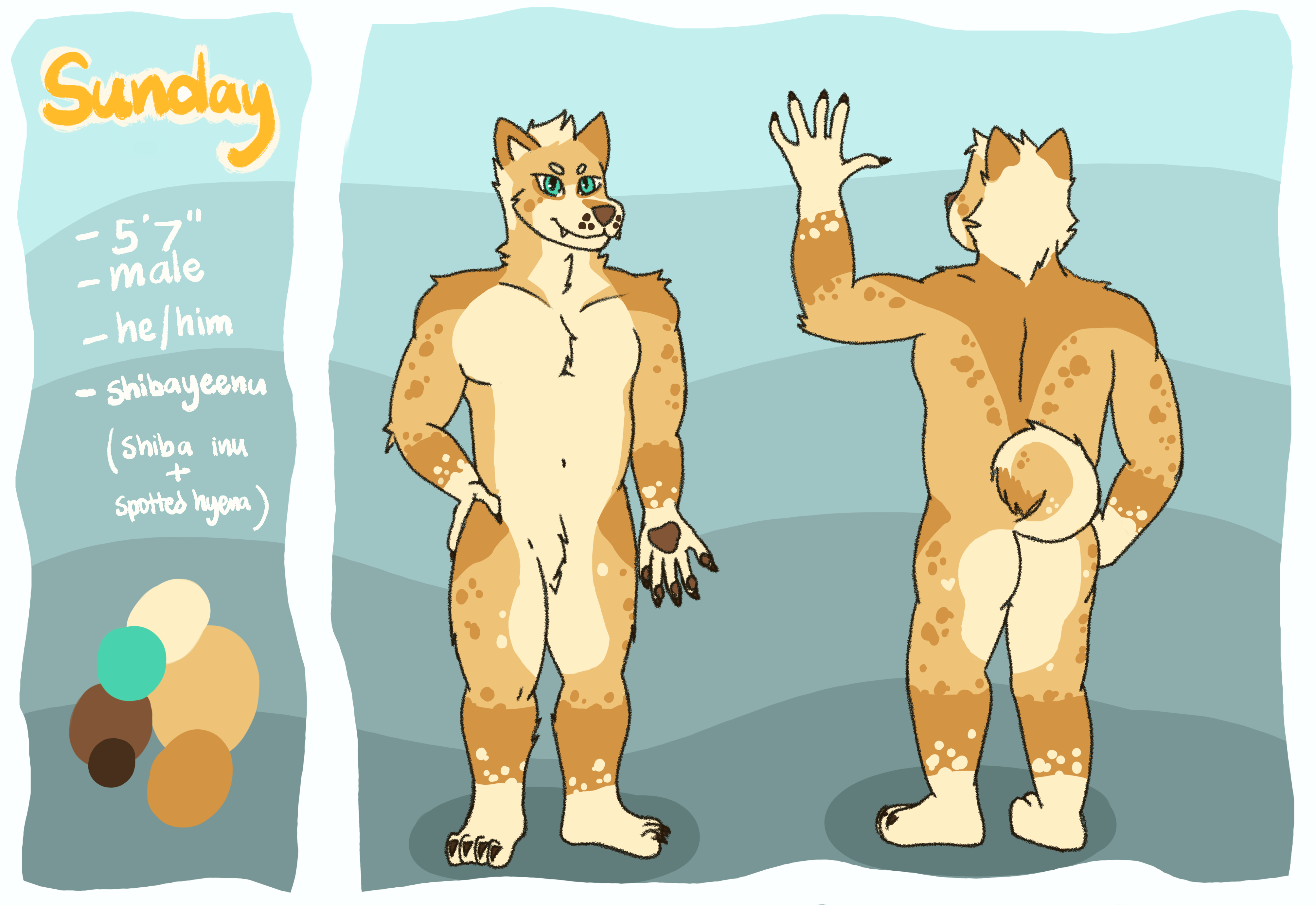 reference sheet
